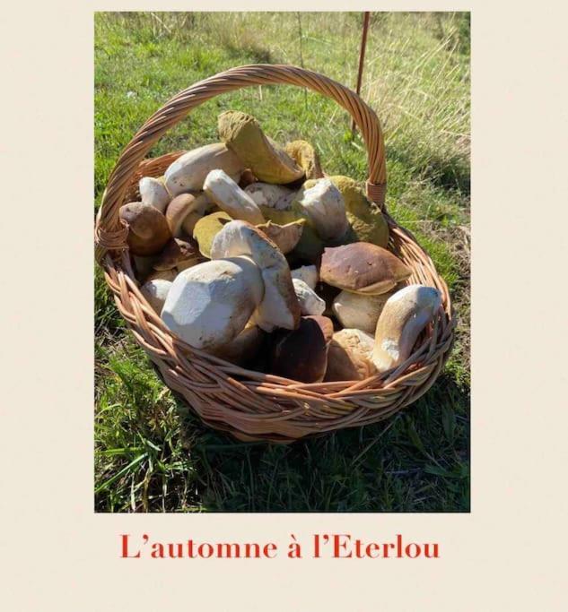 فيلا L'Eterlou Authentique Partie De Corps De Ferme 10Pers. Targassonne المظهر الخارجي الصورة